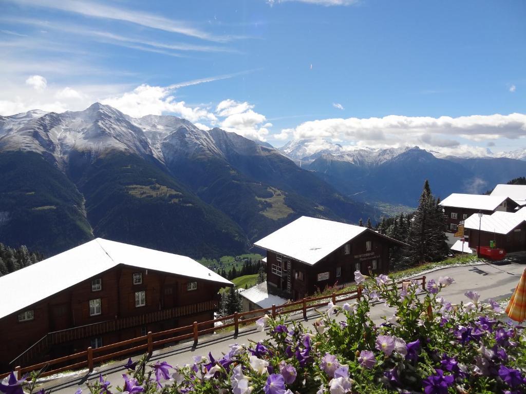 Alpfrieden Hotel