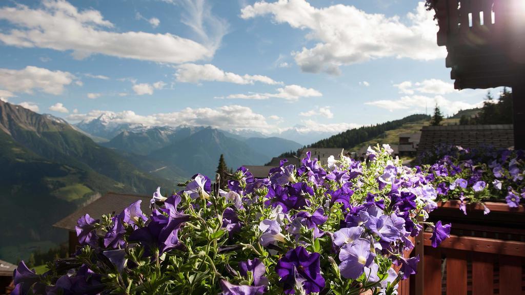 Alpfrieden Hotel Bettmeralp